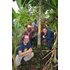 The photo shows several people standing around a cinnamon tree.